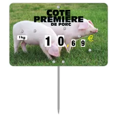 Flash label(protected windows) n°3 PIGS with wheels, with spike and text, Color: Quadri, With Text: YES