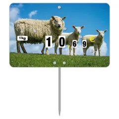 Flash label (protected windows) n°3 SHEEP with wheels and with spike (bag of 10 units), Color: Quadri, With Text: NO