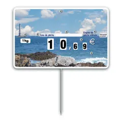 Flash label (protected windows) n°3 LIGHTHOUSE with spike with FISHING WHEEL (bag of 10 units), Color: Quadri, With Text: NO