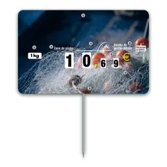 Flash label (protected windows) n°3 FISHING WHEEL with spike (bag of 10 units), Color: Quadri, With Text: NO