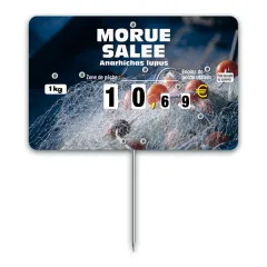 Flash label (protected windows) n°3 FISHING NET with spike and text with FISHING WHEEL, Color: Quadri, With Text: YES