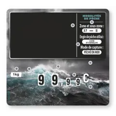 etal-shop.com - Etiqueta FLASH (ventanas protegidas)  "Tormenta"con 9 ruedas (paquete de 10), Color: NEGRO, UN TEXTO: NO, Envío Google: FR::Estándar:8,00 EUR, Ayuda: Sin pico