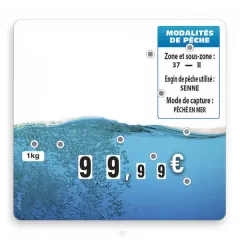 etal-shop.com - Etiqueta FLASH (ventanas protegidas)  "Burbuja" con 9 ruedas (paquete de 10), Color: AZUL, UN TEXTO: NO, Envío Google: FR::Estándar:8,00 EUR, Ayuda: Sin pico