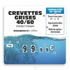etal-shop.com - Etiqueta FLASH (ventanas protegidas)  "BURBUJA" con 9 ruedas y para texto, Color: AZUL, UN TEXTO: SÍ, Envío Google: FR::Estándar:8,00 EUR, Ayuda: Sin pico