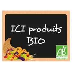 Unframed wallboard GREENGROCER " ORGANIC CORNUCOPIA " 20x15 cm