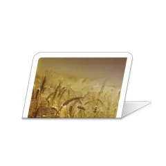 10 Easels display price - WHEAT FIELDS