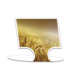 etal-shop.com - Etiquetas Campos de trigo