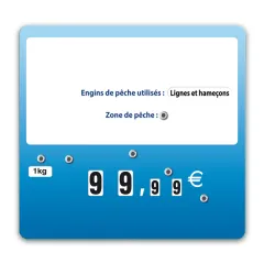 Flash label (protected windows) blue FISH XL with wheels (bag of 10), Color: Blue, With Text: NO, Shipping Google: FR::Standard:6.67 EUR, Price label holders: Without spike