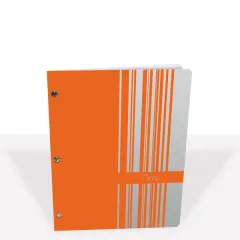 S. 2 AZUR ORANGE menu protectors with 5 dividers