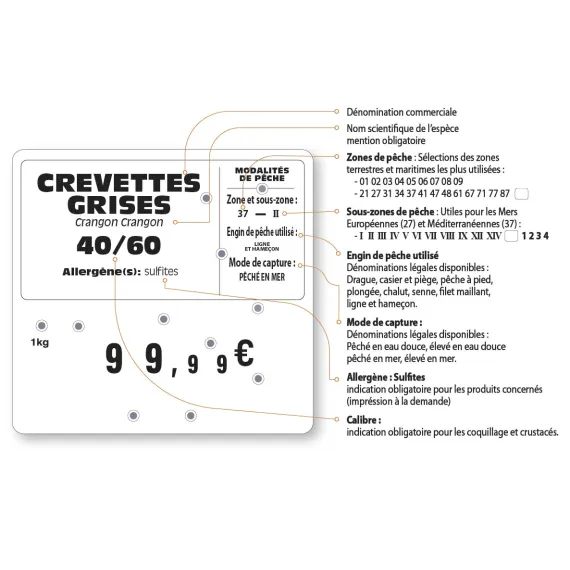 etal-shops.com - Etiquette FLASH(fenêtres protégées)  POISSON 9 Roues "Tempête" et à texte, Couleur: NOIR, A TEXTE: OUI, Shipping Google: FR::Standard:8.00 EUR, Support: Sans pic, 2 image